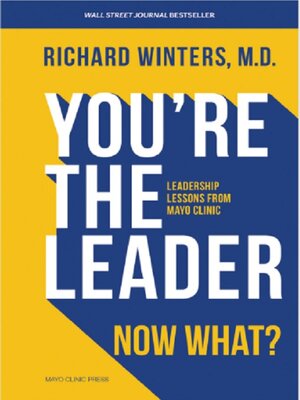 cover image of You're the Leader. Now What?